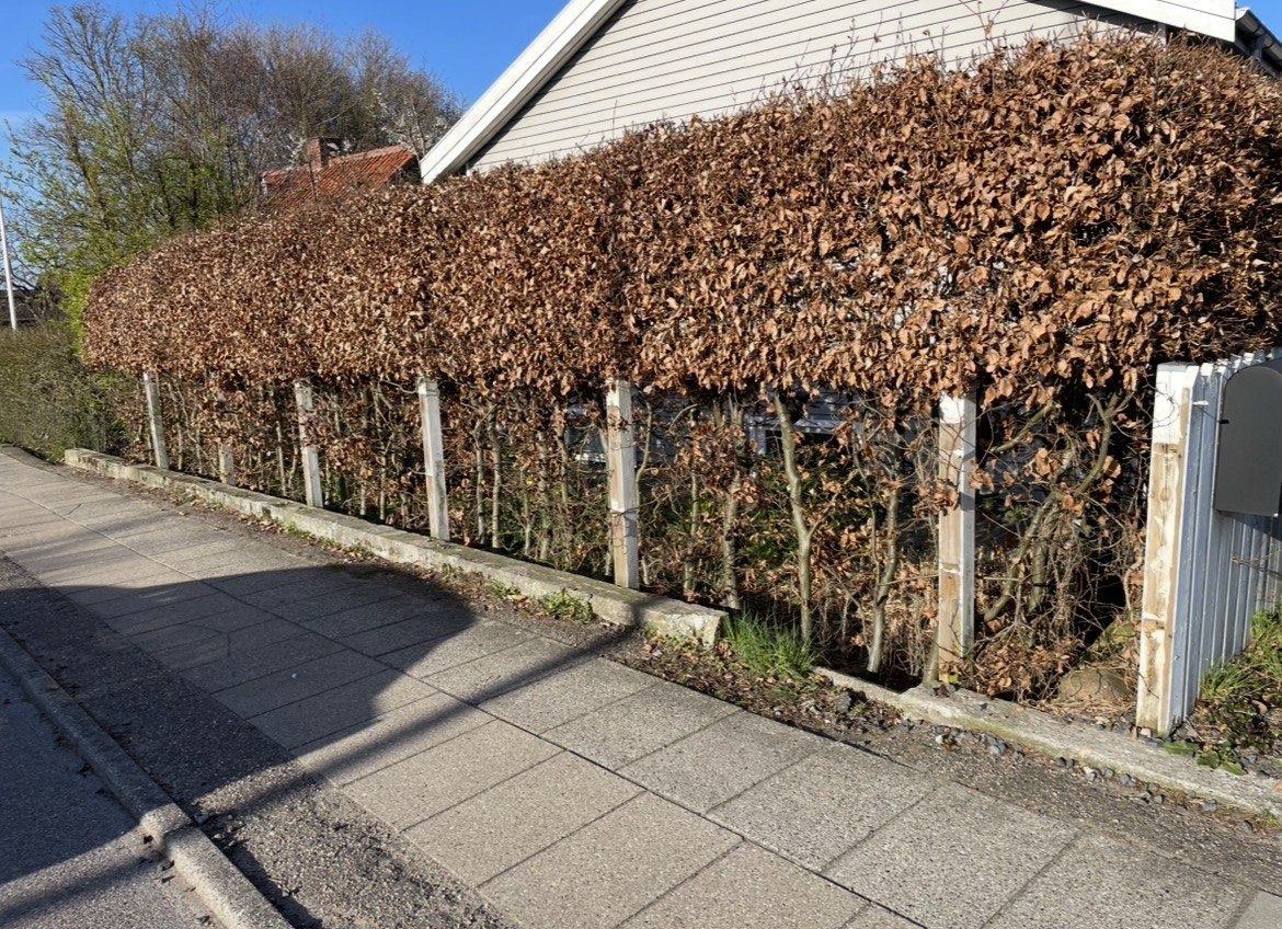 Område før nyt stakit